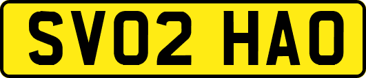 SV02HAO
