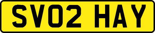 SV02HAY