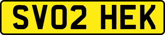 SV02HEK