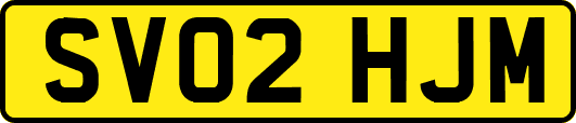 SV02HJM