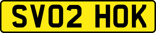 SV02HOK
