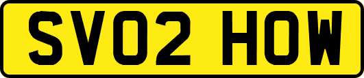 SV02HOW