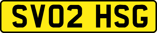 SV02HSG