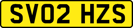 SV02HZS