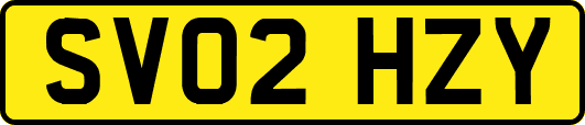 SV02HZY