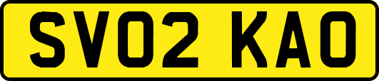 SV02KAO