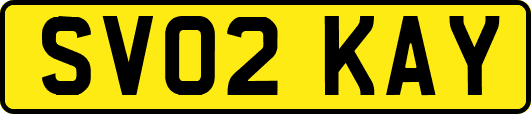 SV02KAY