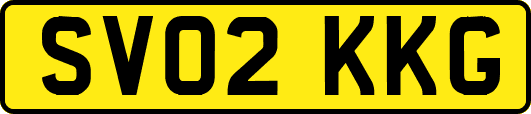 SV02KKG