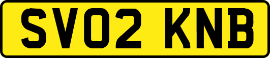 SV02KNB