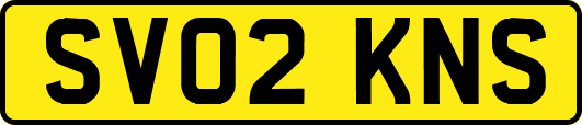 SV02KNS