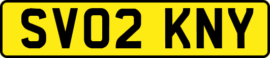 SV02KNY