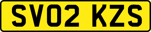 SV02KZS