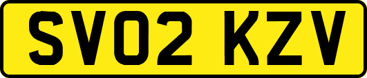 SV02KZV
