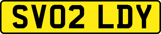 SV02LDY