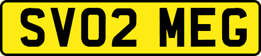 SV02MEG
