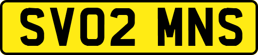 SV02MNS