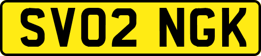 SV02NGK