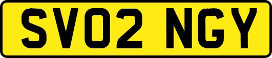 SV02NGY