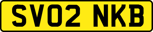 SV02NKB