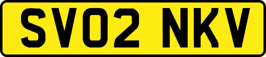 SV02NKV