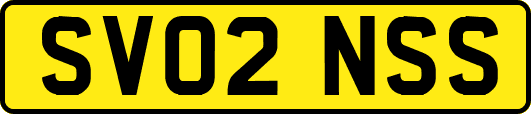 SV02NSS
