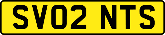 SV02NTS