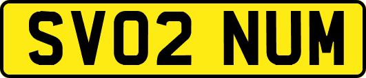 SV02NUM