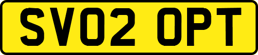 SV02OPT