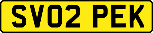 SV02PEK