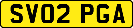 SV02PGA
