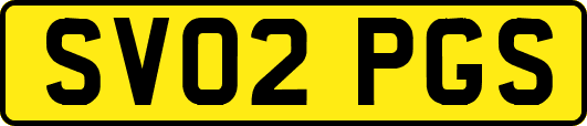 SV02PGS