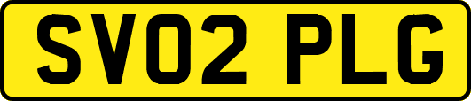 SV02PLG