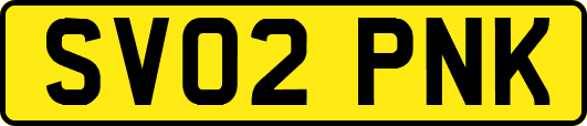 SV02PNK