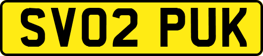 SV02PUK