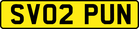 SV02PUN