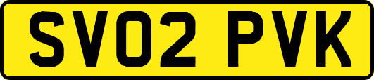 SV02PVK
