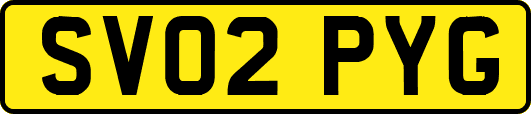 SV02PYG