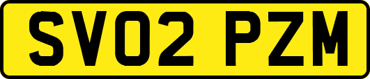 SV02PZM