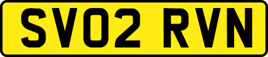 SV02RVN
