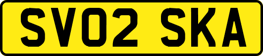 SV02SKA