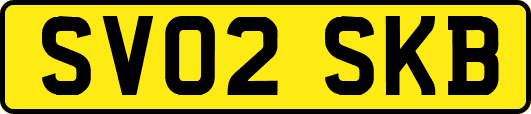 SV02SKB