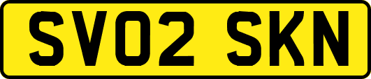 SV02SKN