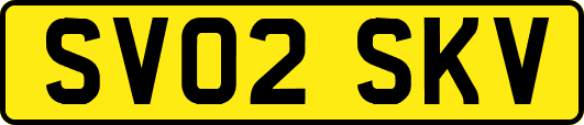 SV02SKV