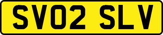 SV02SLV