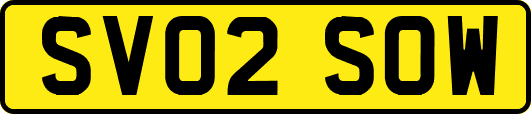 SV02SOW