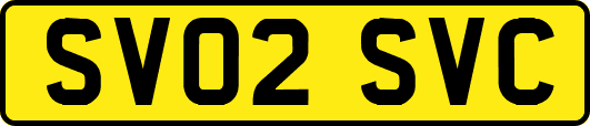 SV02SVC