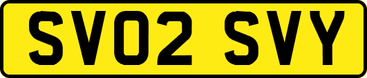 SV02SVY