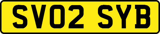 SV02SYB