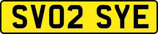 SV02SYE