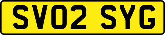 SV02SYG